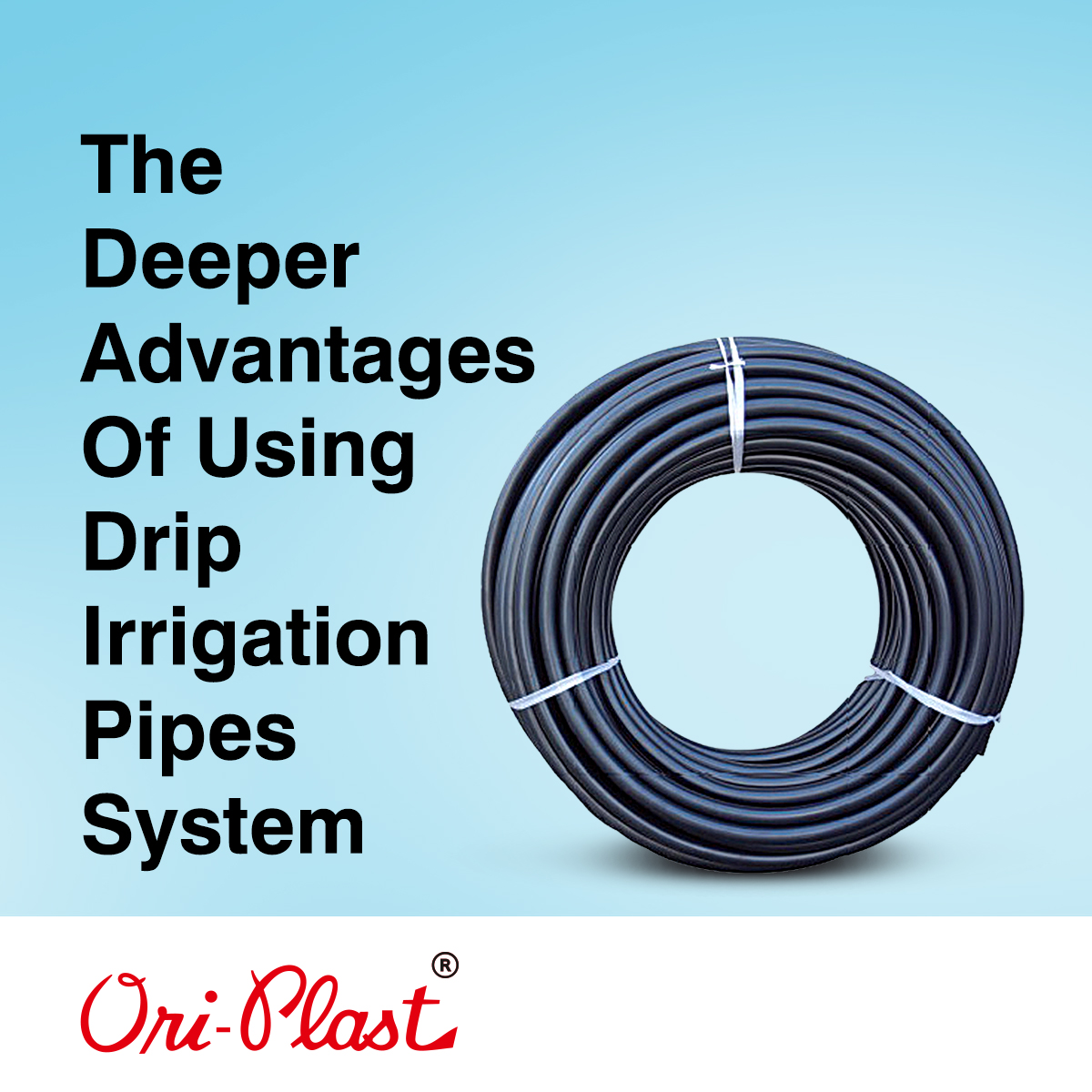 The Deeper Advantages of using Drip Irrigation Pipes System
