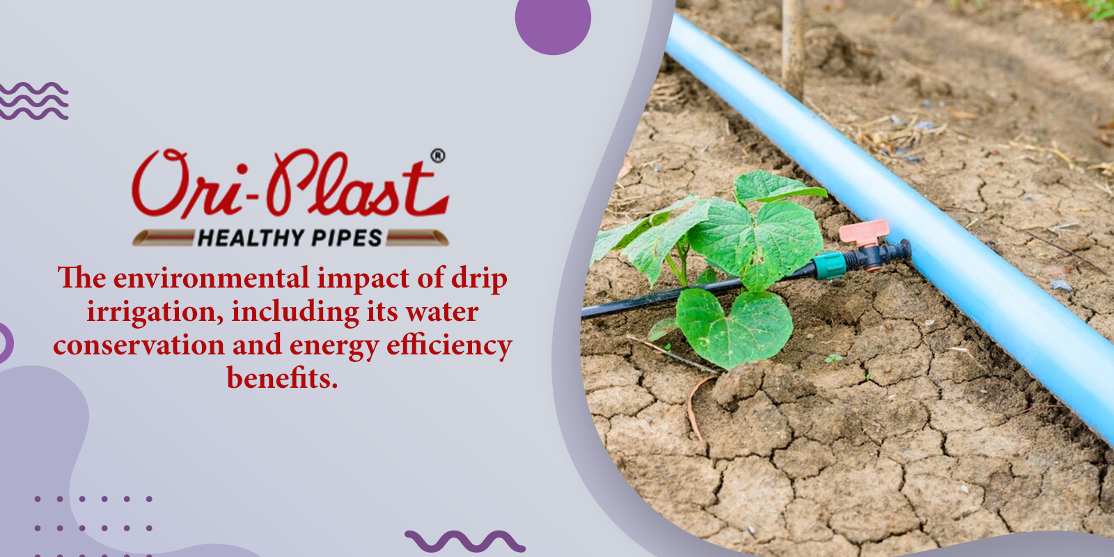 Top 7 Advantages of Drip Irrigation & Its Water And Energy Benefits