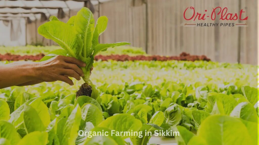 Unlock the Secrets of Sustainable Agriculture in Sikkim with Oriplast