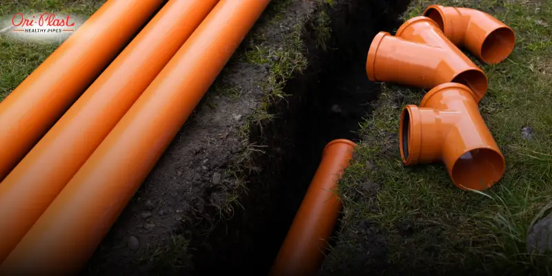 Sustainability and Long-Term Impact