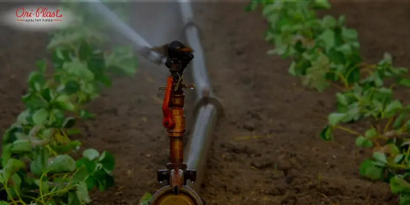 Common Problems in Indoor Irrigation Due to Poor-Quality Pipes