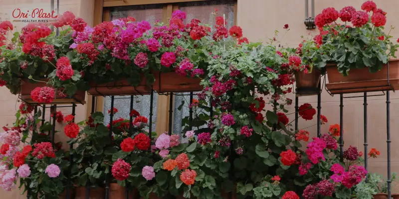 Drip Irrigation for Balcony Gardening