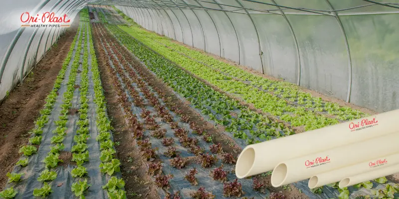 OriPlast Pipes Are the Best Choice for Indoor Irrigation